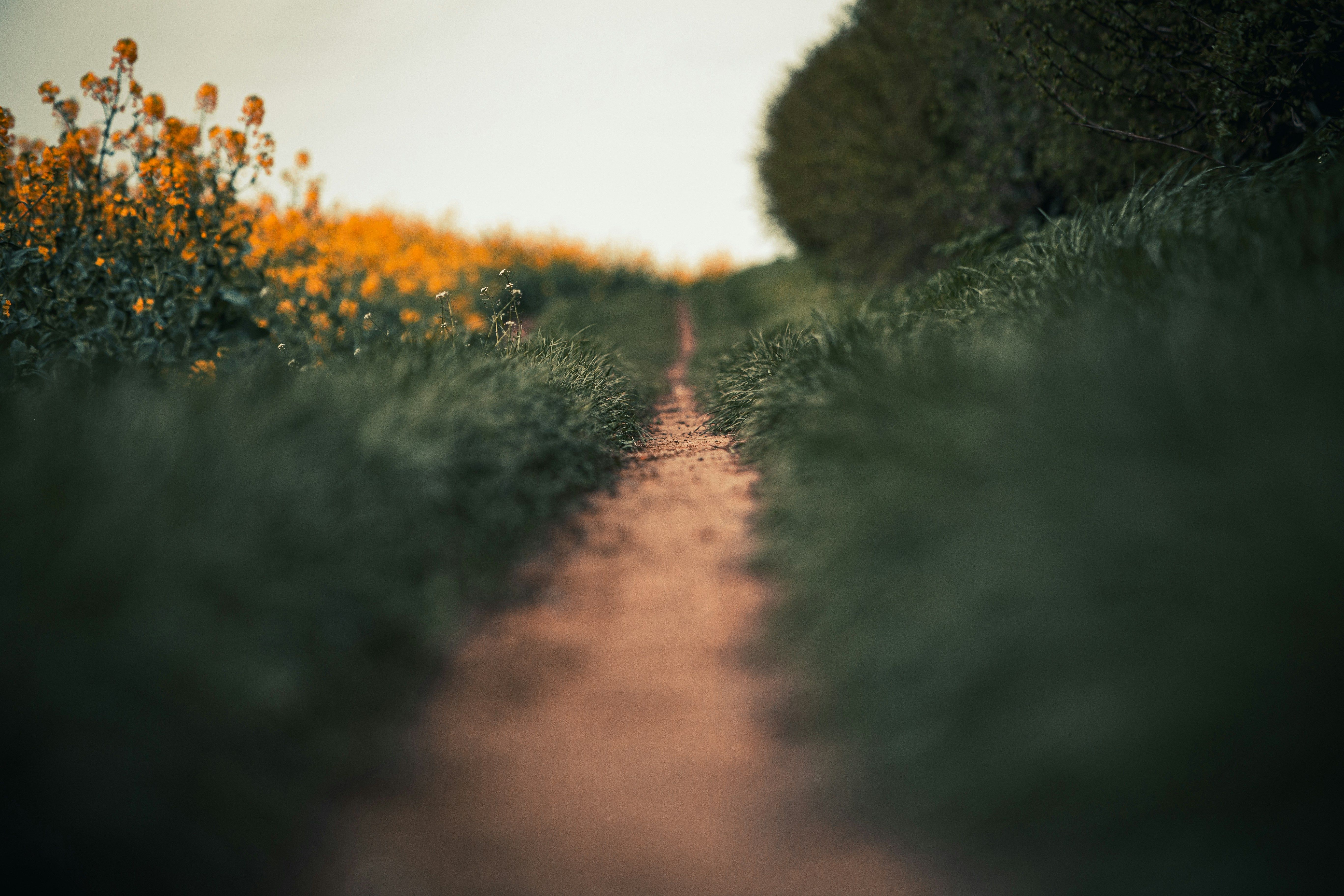 chemin-trajectoire-empreinte-carbone.jpg